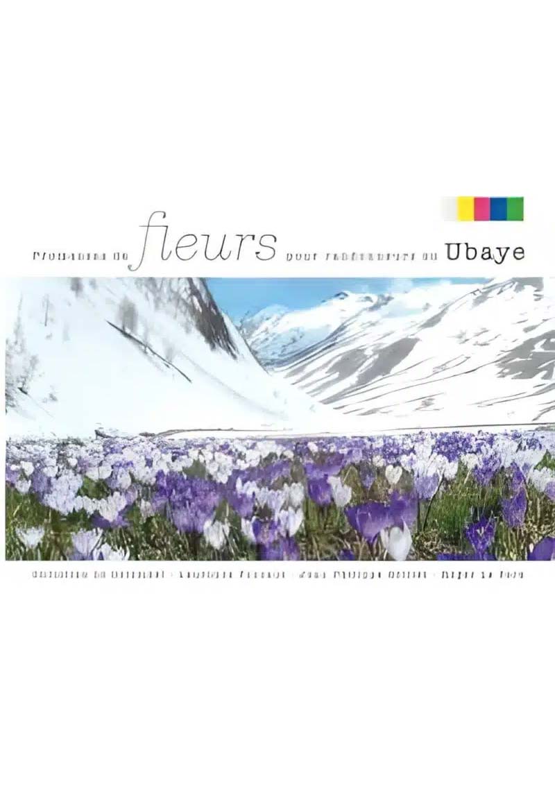 livre fleurs en ubaye