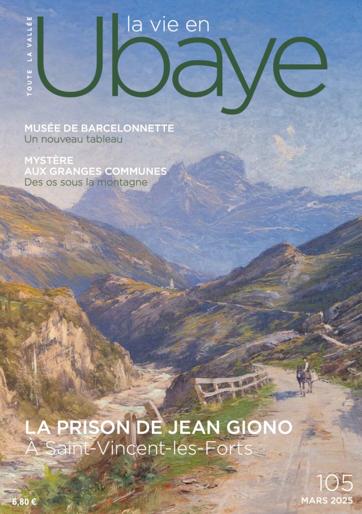 Couverture du TLV 105, il s'agit d'un extrait de tableau de Charles Bertier, lentrée dans la vallée au Lauzet